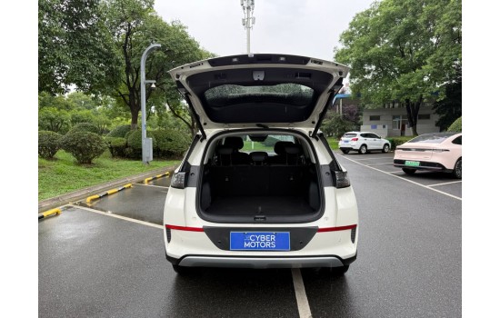 BYD Sea Lion 05 EV, 2025, пробіг 11 тисяч км 